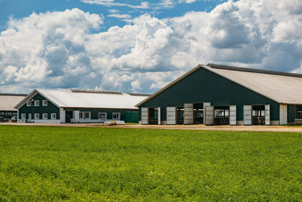 Modern livestock building